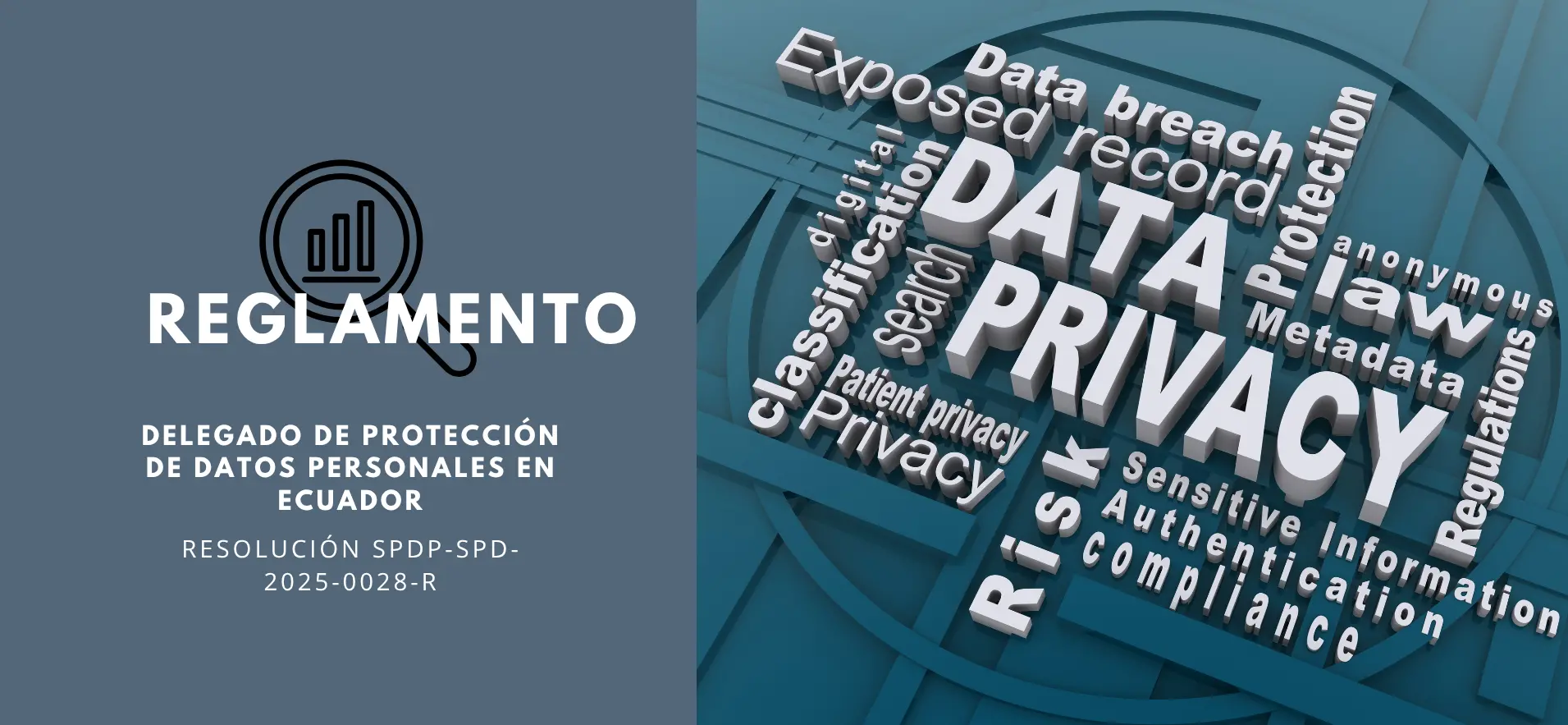 Reglamento del Delegado de Protección de Datos Personales en Ecuador